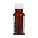 China Brush - Sérum de Retardement - 0,7 fl oz / 20 ml