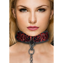 Collier avec laisse