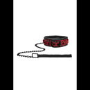 Collier avec laisse