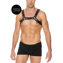Harnais en cuir pour bulldog avec boucles - S/M