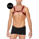Harnais en cuir pour Bulldog avec boucles - S/M