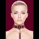 Collier Luxueux avec Laisse