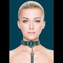 Collier Luxueux avec Laisse