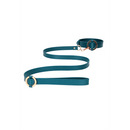 Collier Luxueux avec Laisse
