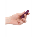 Mini Bullet Vibrant Clitoridien