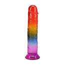 Classique Dong - 8,5 / 21,6 cm - Arc-en-ciel