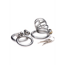 Le Pen Deluxe - Cage de chasteté verrouillable