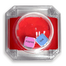 Sex Pop - Jeu de Dés Popping