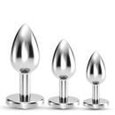 Bijou - Trio de Plug Anal Wet Train - 3 Bijoux - Transparent