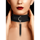Collier en velours réglable avec laisse