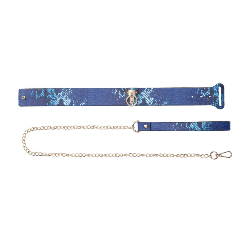 Collection Florence - Collier avec laisse - Bleu