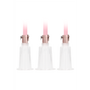 Set de pompes pour clitoris et mamelons Moyen - Grand