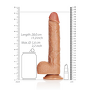 Dildo Réaliste Droit avec Boules et Ventouse - 10 / 25,5 cm