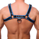 Harnais en cuir premium - S/M - Noir/Bleu