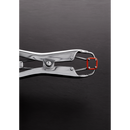 Pince à torture de tétons