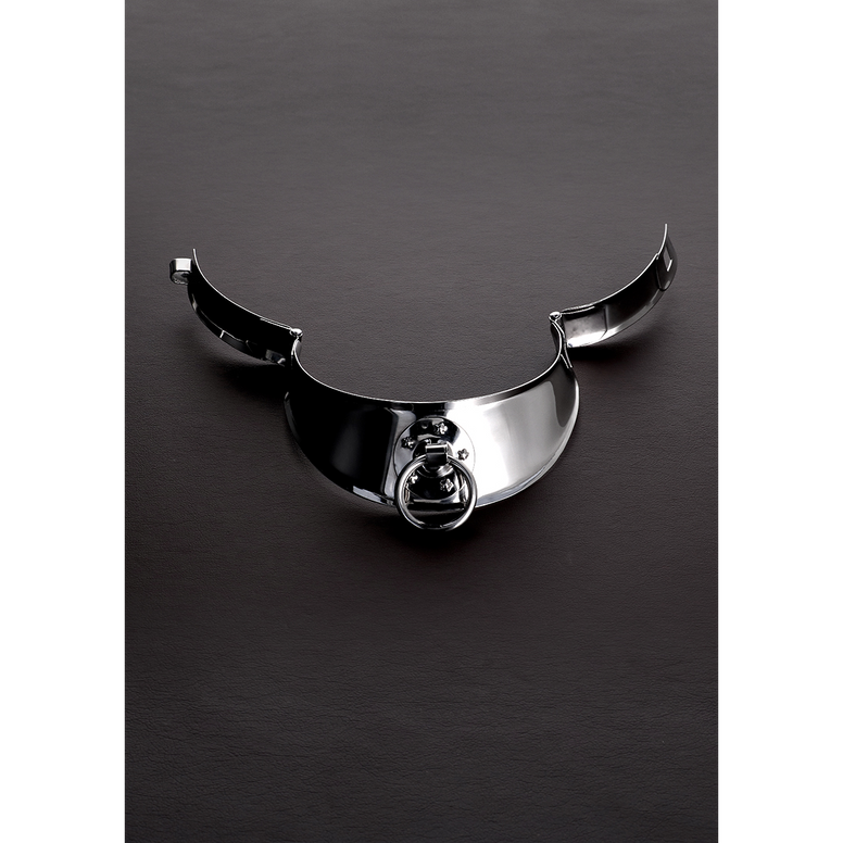 Men's Collar with Clasp - 15 / 38 cm