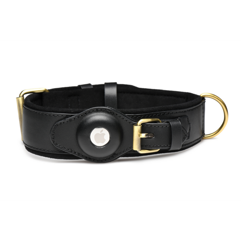 Tracer - Tracking Collar - Black