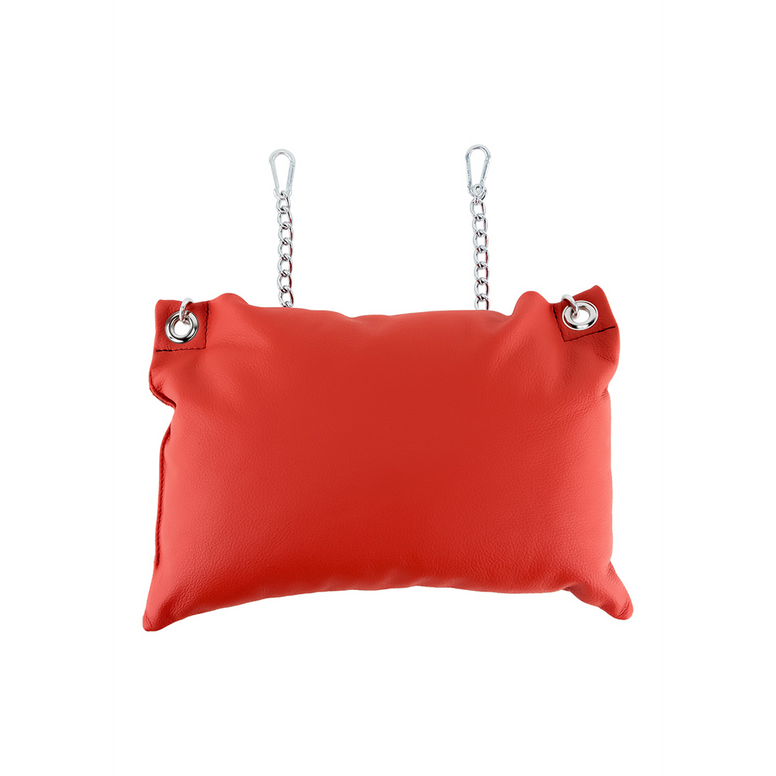 Leather Pillow