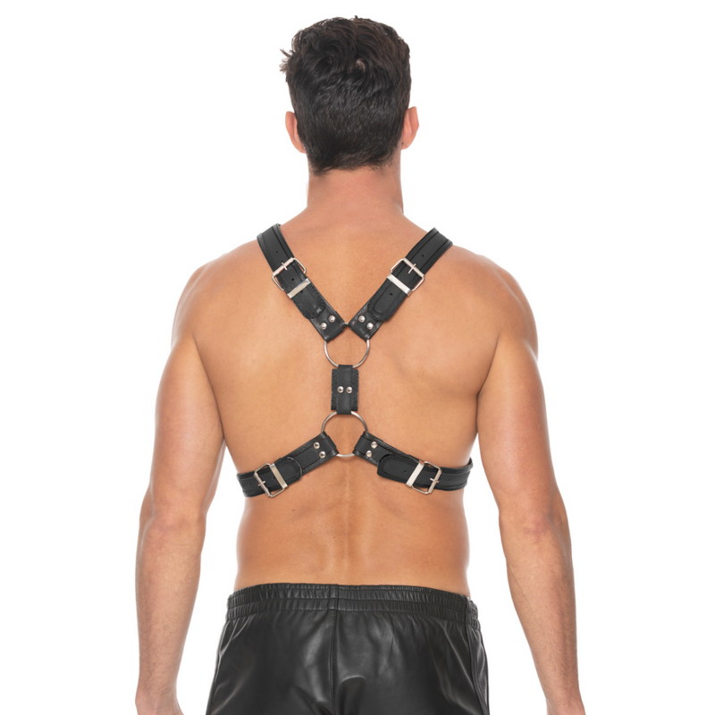 Scottish Leather Harness - L/XL