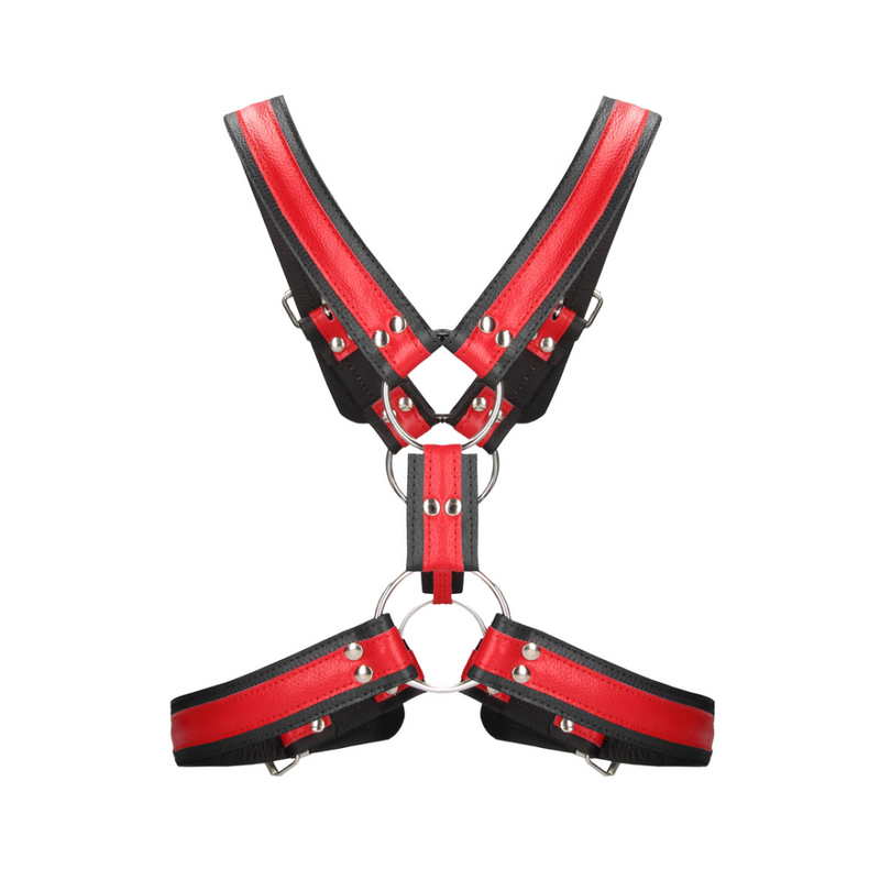 Scottish Leather Harness - L/XL