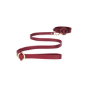 Collier Luxueux avec Laisse