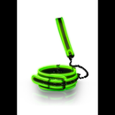 Collier et laisse - Brille dans le noir